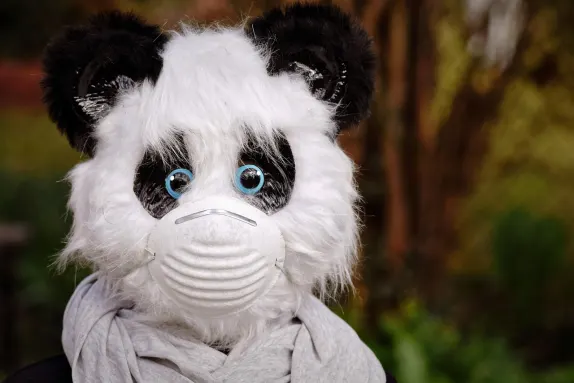 カジノ マーズ ベット サポート